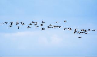 上海404是什么意思 上海404是什么意思