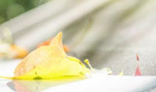 甜心格格动画片全集 甜心格格动画片全集