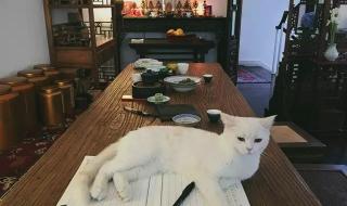 徐汇区地图 徐汇区地图