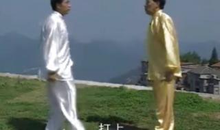 陈式太极拳新架二路 陈式太极拳新架二路