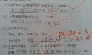 如果就造句二年级