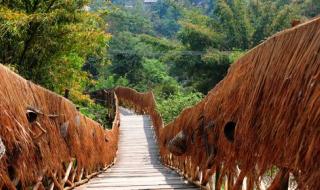 西双版纳旅游线路 西双版纳旅游线路